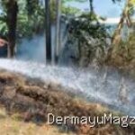 Indramayu Lalai Bakar Sampah, Ilalang di Pinggir Jalan Raya Ibu Tien Indramayu Hangus Terbakar 9 Agustus 2026, 08:36 WIB