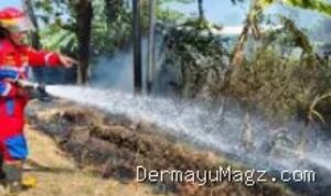 Indramayu Lalai Bakar Sampah, Ilalang di Pinggir Jalan Raya Ibu Tien Indramayu Hangus Terbakar 9 Agustus 2026, 08:36 WIB