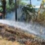 Indramayu Lalai Bakar Sampah, Ilalang di Pinggir Jalan Raya Ibu Tien Indramayu Hangus Terbakar 9 Agustus 2026, 08:36 WIB
