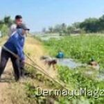 Indramayu Sempat Dihantui Banjir dan Bau, Begini Cara Warga Tawangsari Indramayu Menyelamatkan Sungai Kalen Pasir 9 Agustus 2026, 17:57 WIB