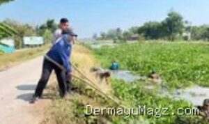 Indramayu Sempat Dihantui Banjir dan Bau, Begini Cara Warga Tawangsari Indramayu Menyelamatkan Sungai Kalen Pasir 9 Agustus 2026, 17:57 WIB