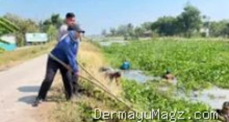 Indramayu Sempat Dihantui Banjir dan Bau, Begini Cara Warga Tawangsari Indramayu Menyelamatkan Sungai Kalen Pasir 9 Agustus 2026, 17:57 WIB