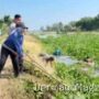 Indramayu Sempat Dihantui Banjir dan Bau, Begini Cara Warga Tawangsari Indramayu Menyelamatkan Sungai Kalen Pasir 9 Agustus 2026, 17:57 WIB