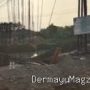 Indramayu Soal Tuduhan Solar Subsidi di Proyek Jembatan Cilogor, Humas PT ATS: Berita Tidak Benar, Kami Taat Aturan 7 Agustus 2026, 17:11 WIB