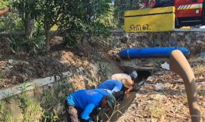 Kekeringan di Indramayu Meluas, Petani Minta Bantuan Damkar