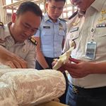 Lapas Indramayu Sukses Panen Jamur, Perluas Program Ekonomi Kreatif