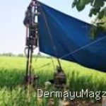 Misteri Irpom PM AAS Plosokerep Indramayu: 12 Titik Ditemukan, Ketua Kelompok Tani Bungkam?