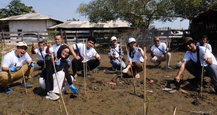 Pertamina Patra Niaga Balongan Tanam 11 Ribu Mangrove di Pantai Eretan