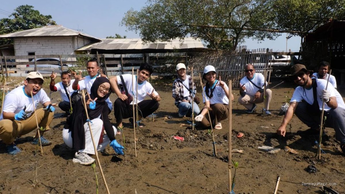Pertamina Patra Niaga Balongan Tanam 11 Ribu Mangrove di Pantai Eretan