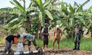 Strategi Jitu Danramil Lelea & BPP Atasi Kendala Lahan Petani Tunggul Payung