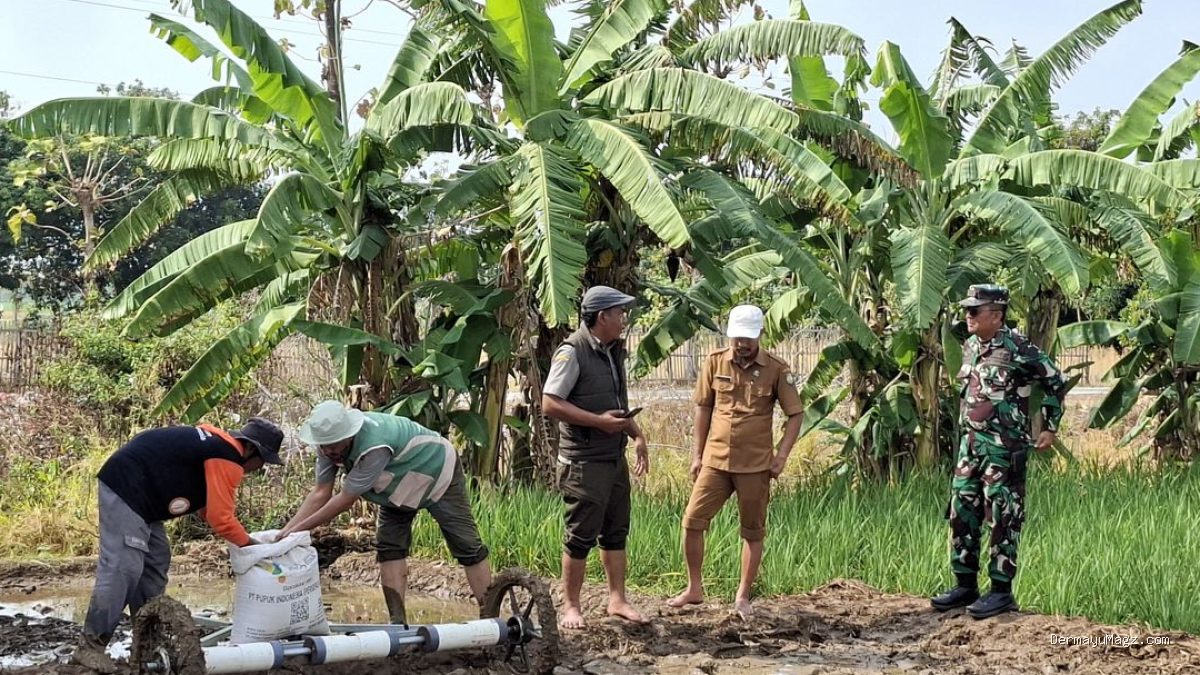 Strategi Jitu Danramil Lelea & BPP Atasi Kendala Lahan Petani Tunggul Payung