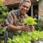 Trik Menanam Selada Hidroponik Pakai Gelas Bekas, Hobi Cuan Pensiunan