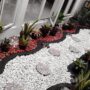Photo by rumahimpianterkini.blogspot.com - 10 Ide Desain Taman Kering Minimalis dengan Dekorasi Bebatuan