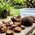 7 Cara Menanam Anggrek dengan Sabut Kelapa: Solusi Tepat agar Subur