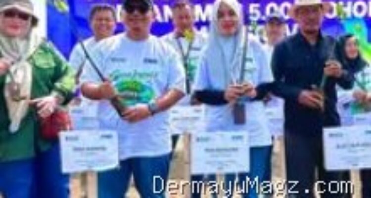 Aksi Lingkungan PNM Indramayu: Tanam 5.000 Mangrove di Balongan