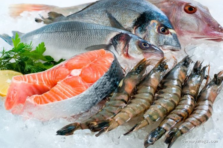 Photo by kompas.com - Cara Memilih Ikan Laut Segar di Pasar Tempat Pelelangan Ikan Pagi Hari