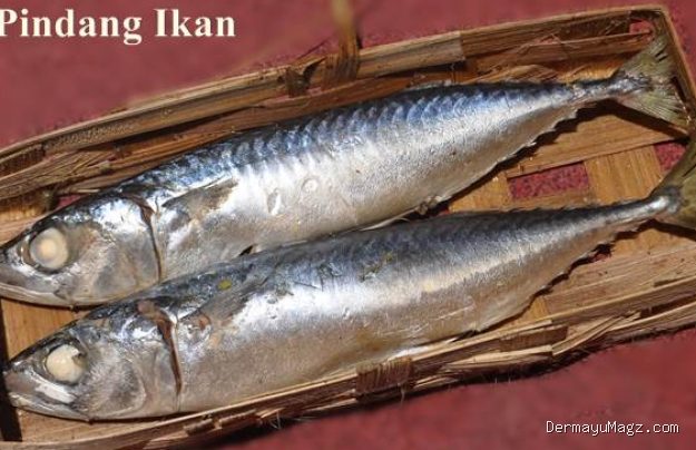 Cara Mengolah Ikan Layang Bumbu Pindang Cabai Hijau Menggugah Selera