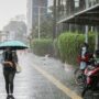 Photo by nawacita.co - Cara Menjaga Suasana Hati Tetap Stabil Selama Musim Hujan