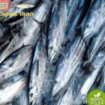 Photo by blibli.com - Cara Merebus Ikan Cakalang Pindang Sendiri di Rumah Tahan Simpan Seminggu