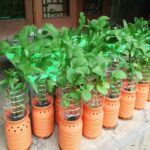 Photo by rumah123.com - Ide Kreatif Membuat Pot Bunga Unik dari Barang Bekas di Rumah