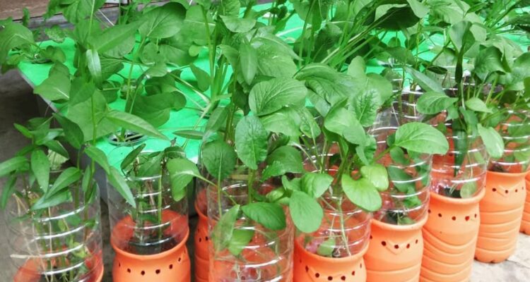 Photo by rumah123.com - Ide Kreatif Membuat Pot Bunga Unik dari Barang Bekas di Rumah