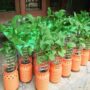 Photo by rumah123.com - Ide Kreatif Membuat Pot Bunga Unik dari Barang Bekas di Rumah