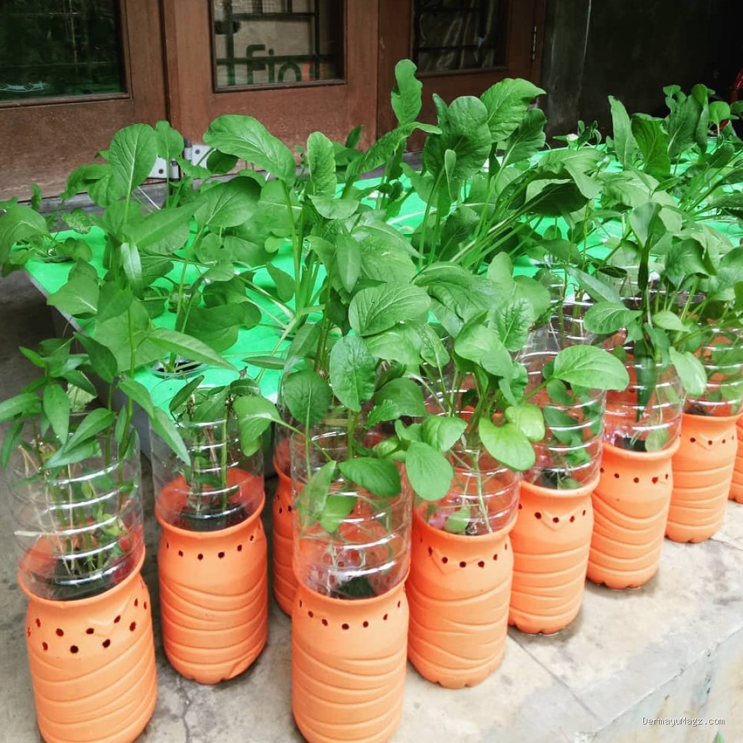 Photo by rumah123.com - Ide Kreatif Membuat Pot Bunga Unik dari Barang Bekas di Rumah