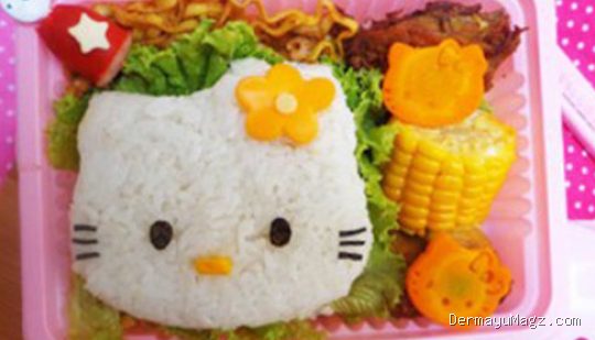 Photo by resepane.blogspot.com - Ide Menu Bento Sederhana untuk Bekal Sekolah Anak yang Praktis