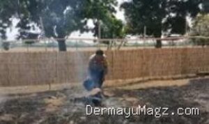 kebakaran-lahan-mangga-di-haurgeulis-indramayu-warga-cegah-api-ke-permukiman-35606 Kebakaran Lahan Mangga di Haurgeulis Indramayu: Warga Cegah Api ke Permukiman
