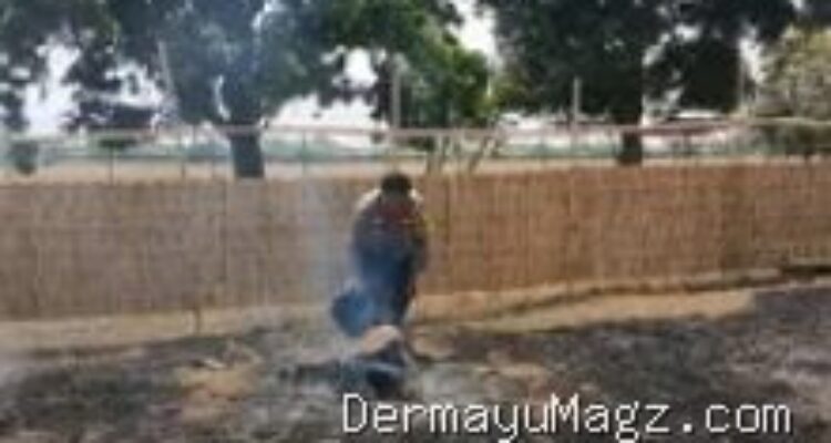 Kebakaran Lahan Mangga di Haurgeulis Indramayu: Warga Cegah Api ke Permukiman