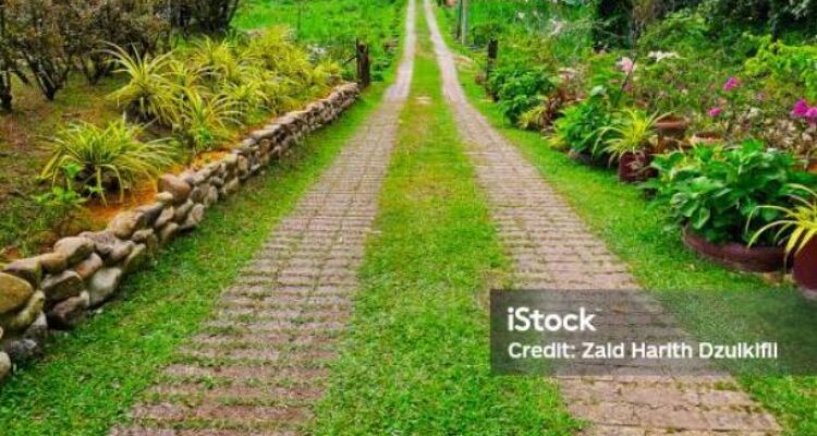Photo by istockphoto.com - Manfaat Jalan Kaki Tanpa Alas Kaki di Atas Rumput bagi Kesehatan