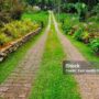 Photo by istockphoto.com - Manfaat Jalan Kaki Tanpa Alas Kaki di Atas Rumput bagi Kesehatan