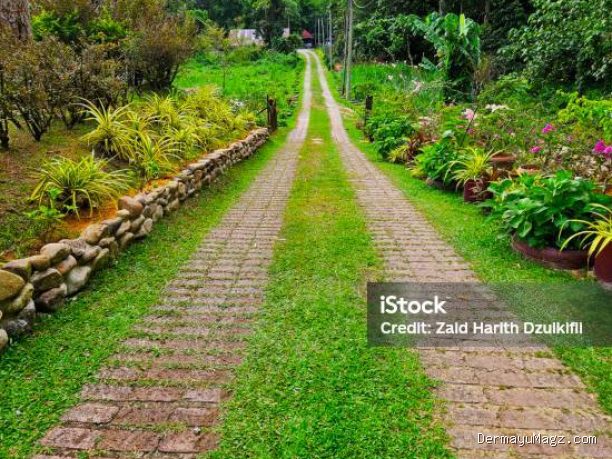 Photo by istockphoto.com - Manfaat Jalan Kaki Tanpa Alas Kaki di Atas Rumput bagi Kesehatan