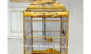 Photo by shopee.co.id - Manfaat Memelihara Burung Kicau bagi Kesehatan Mental dan Hobi