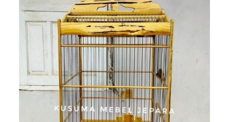 Photo by shopee.co.id - Manfaat Memelihara Burung Kicau bagi Kesehatan Mental dan Hobi