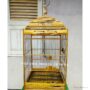 Photo by shopee.co.id - Manfaat Memelihara Burung Kicau bagi Kesehatan Mental dan Hobi