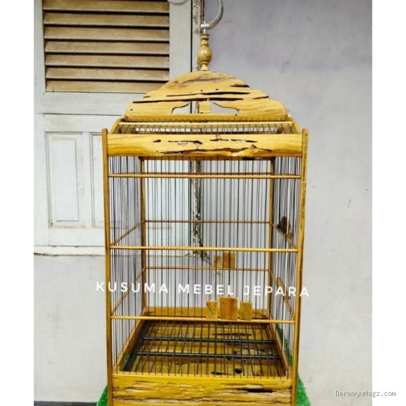 Photo by shopee.co.id - Manfaat Memelihara Burung Kicau bagi Kesehatan Mental dan Hobi