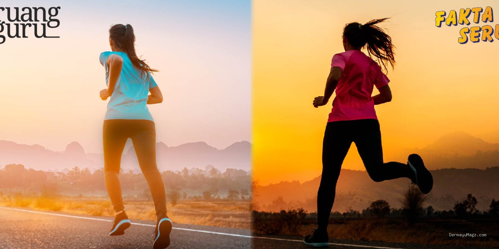 Photo by staging-blog.sirogu.com - Olahraga Pagi vs Sore: Mana yang Lebih Efektif untuk Anda?
