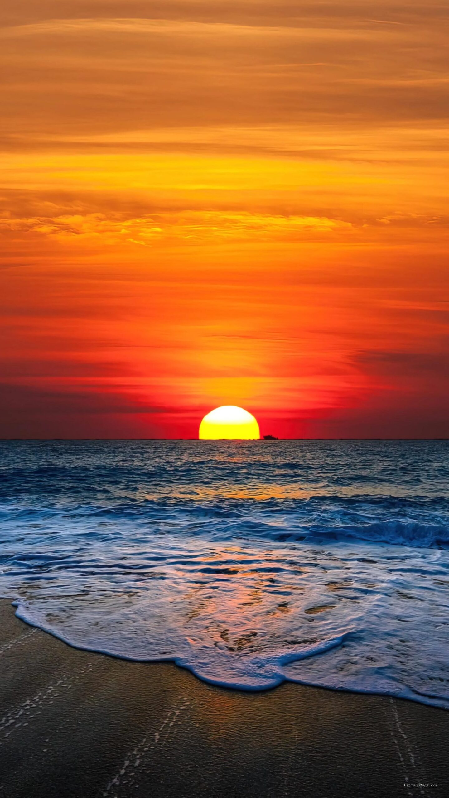Photo by wallpapersafari.com - Panduan Foto Sunset dengan HP agar Warna Lebih Tajam dan Hidup