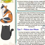Photo by id.scribd.com - Panduan Lengkap Merawat Kucing Peliharaan agar Sehat dan Bahagia