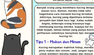 Photo by id.scribd.com - Panduan Lengkap Merawat Kucing Peliharaan agar Sehat dan Bahagia