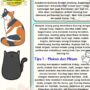 Photo by id.scribd.com - Panduan Lengkap Merawat Kucing Peliharaan agar Sehat dan Bahagia