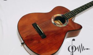 Photo by shopee.co.id - Panduan Memilih Gitar Pertama yang Tepat untuk Pemula