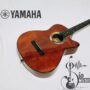 Photo by shopee.co.id - Panduan Memilih Gitar Pertama yang Tepat untuk Pemula