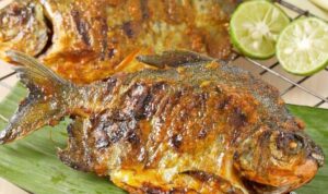 Photo by nova.grid.id - Penyebab Rasa Ikan Bakar Hambar di Bagian Dalam Daging Meski Bumbu Tebal