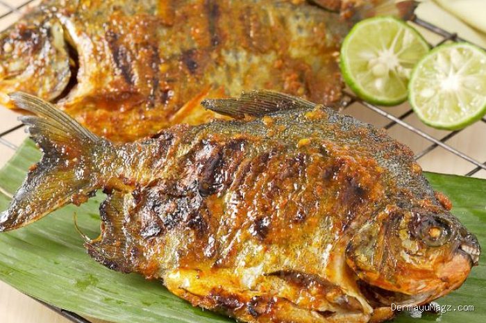 Photo by nova.grid.id - Penyebab Rasa Ikan Bakar Hambar di Bagian Dalam Daging Meski Bumbu Tebal