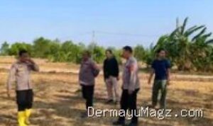 polres-indramayu-cek-lahan-jagung-gantar-perkuat-ketahanan-pangan-nasional-14402 Polres Indramayu Cek Lahan Jagung Gantar, Perkuat Ketahanan Pangan Nasional