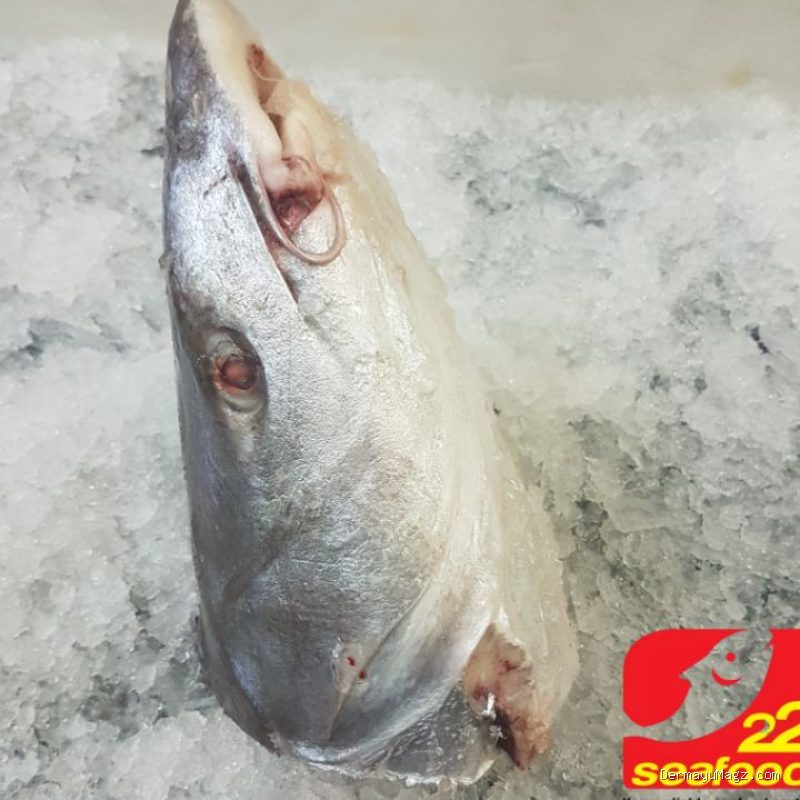 Photo by shopee.co.id - Resep Pindang Gombyang Kepala Ikan Manyung Kuah Rempah Pedas Khas Pesisir