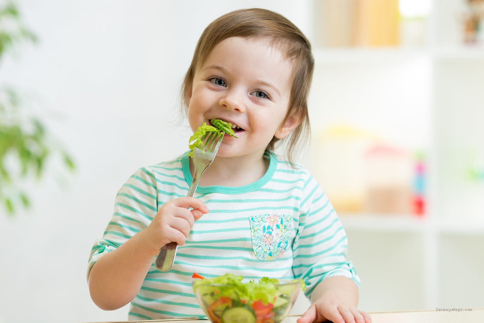 Photo by mooimom.id - Solusi Anak Susah Makan Sayur: Trik Efektif untuk Orang Tua