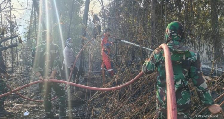 Teddy Kerahkan 64 Pesawat dan 54.394 Personel Tangani Karhutla